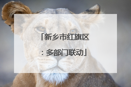 新乡市红旗区：多部门联动