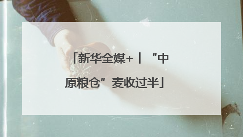 新华全媒+丨“中原粮仓”麦收过半