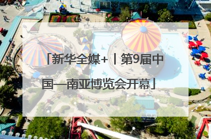 新华全媒+丨第9届中国—南亚博览会开幕