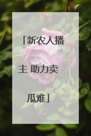 新农人播主 助力卖瓜难