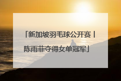 新加坡羽毛球公开赛丨陈雨菲夺得女单冠军
