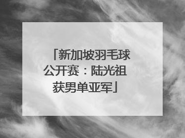 新加坡羽毛球公开赛：陆光祖获男单亚军