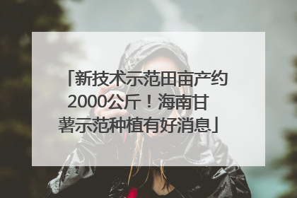 新技术示范田亩产约2000公斤！海南甘薯示范种植有好消息