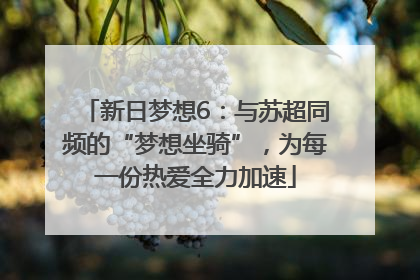 新日梦想6：与苏超同频的“梦想坐骑”，为每一份热爱全力加速