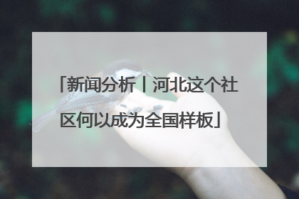 新闻分析丨河北这个社区何以成为全国样板