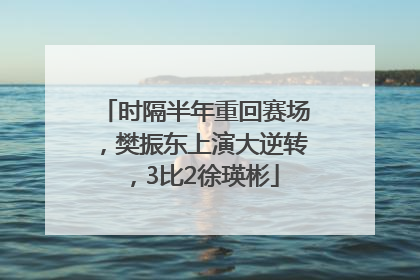 时隔半年重回赛场，樊振东上演大逆转，3比2徐瑛彬