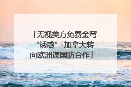 无视美方免费金穹“诱惑” 加拿大转向欧洲谋国防合作