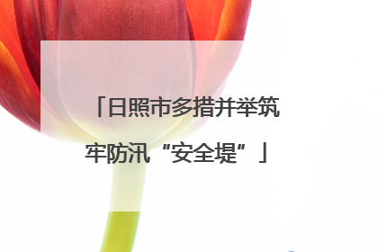 日照市多措并举筑牢防汛“安全堤”