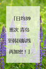 日均39班次 青岛至韩国航线再加密！
