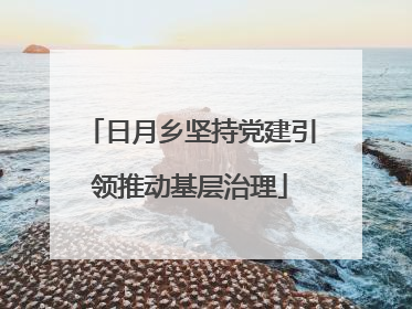 日月乡坚持党建引领推动基层治理