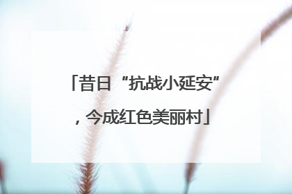 昔日“抗战小延安”，今成红色美丽村