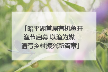昭平湖首届有机鱼开渔节启幕 以渔为媒 谱写乡村振兴新篇章