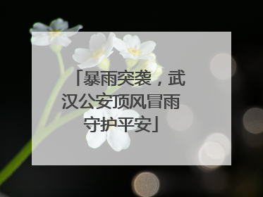 暴雨突袭，武汉公安顶风冒雨守护平安