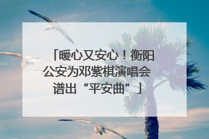 暖心又安心！衡阳公安为邓紫棋演唱会谱出“平安曲”