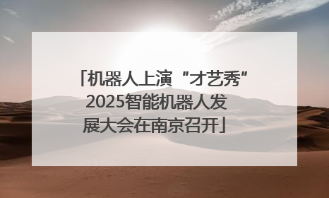 机器人上演“才艺秀” 2025智能机器人发展大会在南京召开