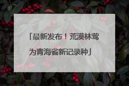 最新发布！荒漠林莺为青海省新记录种