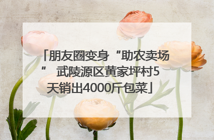 朋友圈变身“助农卖场” 武陵源区黄家坪村5天销出4000斤包菜