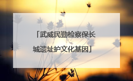 武威民勤检察保长城遗址护文化基因