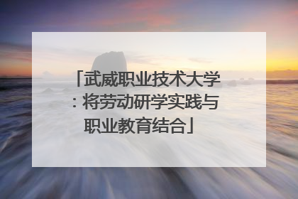 武威职业技术大学：将劳动研学实践与职业教育结合