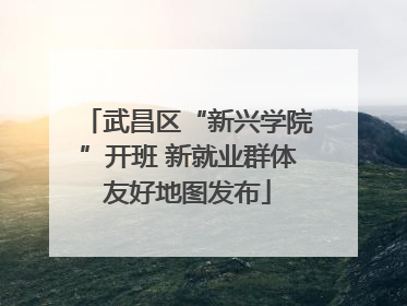 武昌区“新兴学院”开班 新就业群体友好地图发布