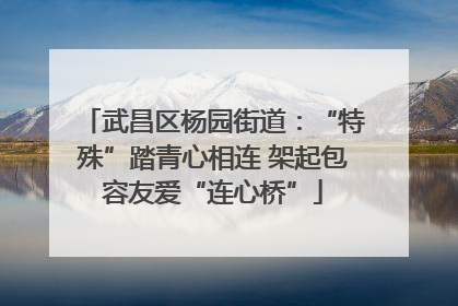 武昌区杨园街道：“特殊”踏青心相连 架起包容友爱“连心桥”