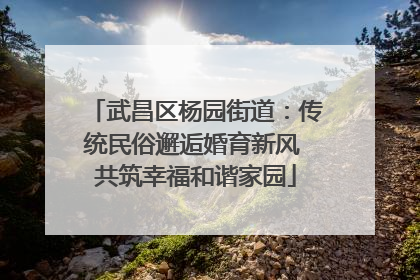 武昌区杨园街道：传统民俗邂逅婚育新风 共筑幸福和谐家园