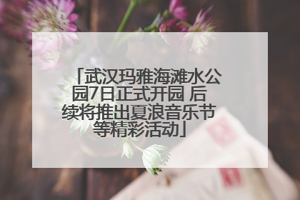 武汉玛雅海滩水公园7日正式开园 后续将推出夏浪音乐节等精彩活动