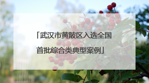 武汉市黄陂区入选全国首批综合类典型案例