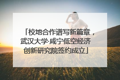 校地合作谱写新篇章，武汉大学·咸宁低空经济创新研究院签约成立