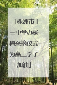 株洲市十三中举办杨梅采摘仪式为高三学子加油