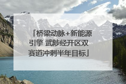桥梁动脉+新能源引擎 武陟经开区双赛道冲刺半年目标