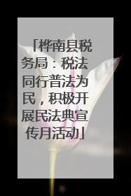 桦南县税务局：税法同行普法为民，积极开展民法典宣传月活动