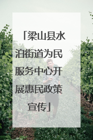 梁山县水泊街道为民服务中心开展惠民政策宣传