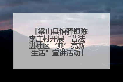 梁山县馆驿镇陈李庄村开展“普法进社区‘典’亮新生活”宣讲活动