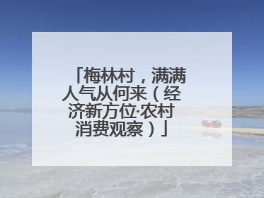 梅林村，满满人气从何来（经济新方位·农村消费观察）