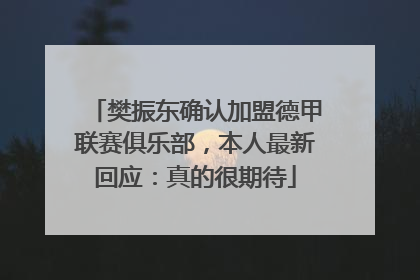 樊振东确认加盟德甲联赛俱乐部，本人最新回应：真的很期待