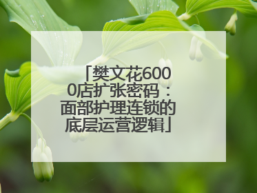 樊文花6000店扩张密码：面部护理连锁的底层运营逻辑