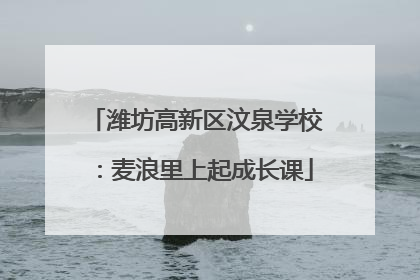 潍坊高新区汶泉学校：麦浪里上起成长课
