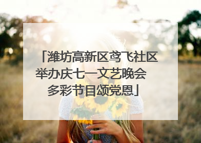 潍坊高新区鸢飞社区举办庆七一文艺晚会 多彩节目颂党恩