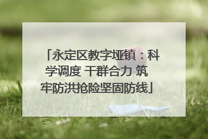 永定区教字垭镇：科学调度 干群合力 筑牢防洪抢险坚固防线