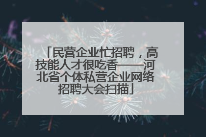 民营企业忙招聘，高技能人才很吃香——河北省个体私营企业网络招聘大会扫描
