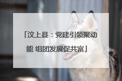 汶上县：党建引领聚动能 组团发展促共富