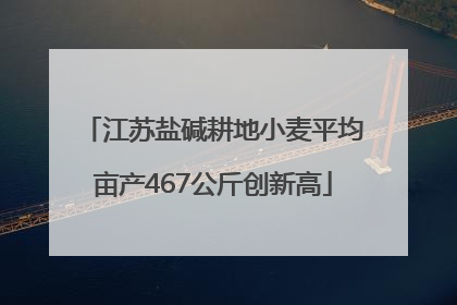 江苏盐碱耕地小麦平均亩产467公斤创新高