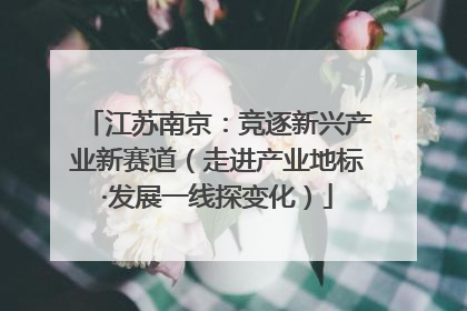 江苏南京：竞逐新兴产业新赛道（走进产业地标·发展一线探变化）