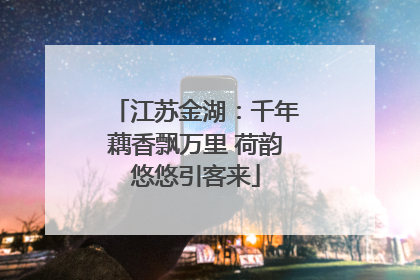 江苏金湖：千年藕香飘万里 荷韵悠悠引客来
