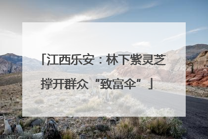 江西乐安：林下紫灵芝撑开群众“致富伞”