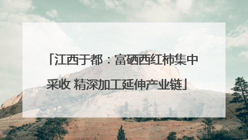 江西于都：富硒西红柿集中采收 精深加工延伸产业链