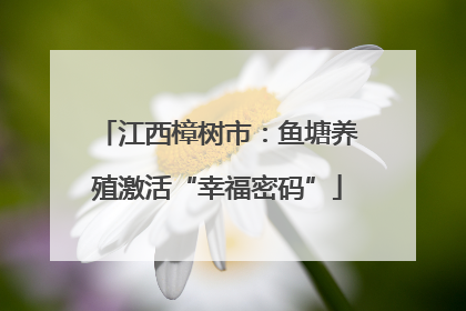 江西樟树市：鱼塘养殖激活“幸福密码”