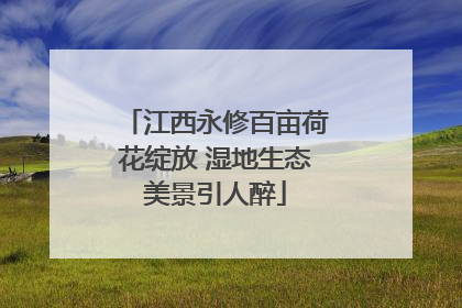 江西永修百亩荷花绽放 湿地生态美景引人醉