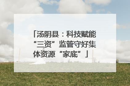 汤阴县：科技赋能“三资”监管守好集体资源“家底”